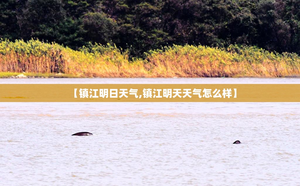 【镇江明日天气,镇江明天天气怎么样】 【镇江明日天气,镇江明天天气怎么样】