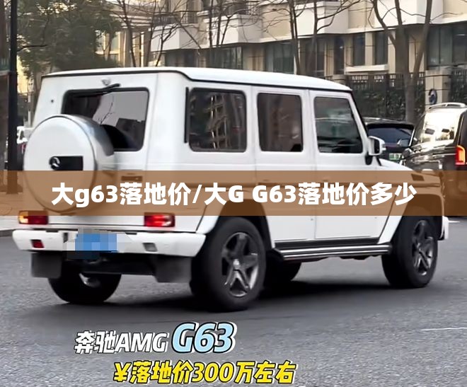 大g63落地价/大G G63落地价多少