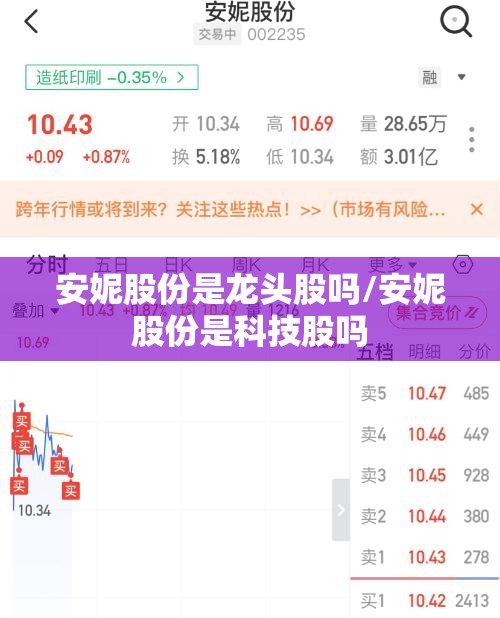 安妮股份是龙头股吗/安妮股份是科技股吗
