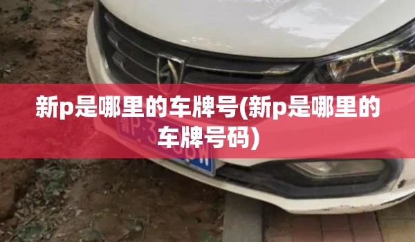 新p是哪里的车牌号(新p是哪里的车牌号码) 新p是哪里的车牌号(新p是哪里的车牌号码)