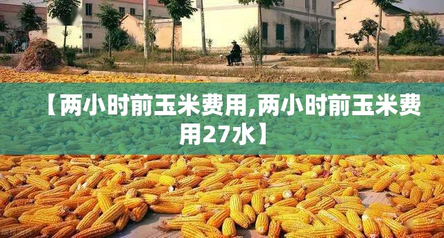 【两小时前玉米费用,两小时前玉米费用27水】