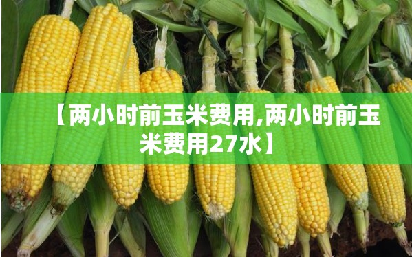 【两小时前玉米费用,两小时前玉米费用27水】
