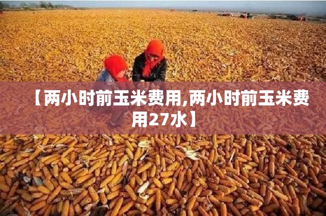 【两小时前玉米费用,两小时前玉米费用27水】