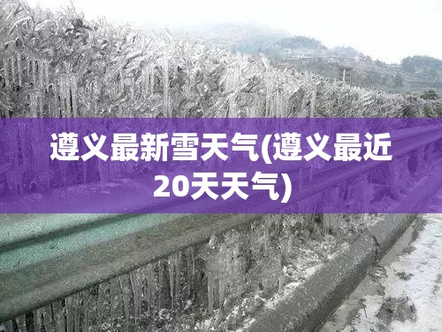 遵义最新雪天气(遵义最近20天天气)
