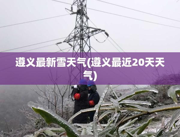 遵义最新雪天气(遵义最近20天天气)
