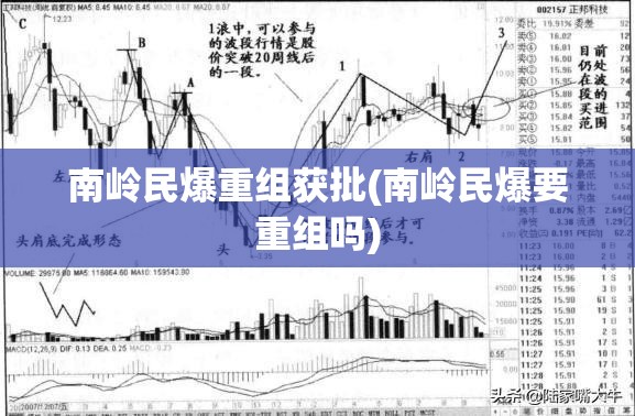 南岭民爆重组获批(南岭民爆要重组吗) 南岭民爆重组获批(南岭民爆要重组吗)