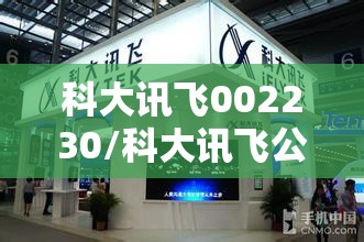 科大讯飞002230/科大讯飞公司简介 科大讯飞002230/科大讯飞公司简介