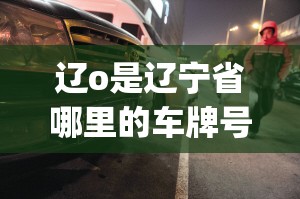 辽o是辽宁省哪里的车牌号(辽n是辽宁省哪里的车牌号) 辽o是辽宁省哪里的车牌号(辽n是辽宁省哪里的车牌号)