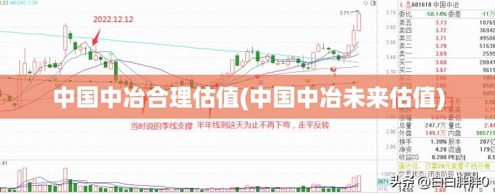 中国中冶合理估值(中国中冶未来估值)