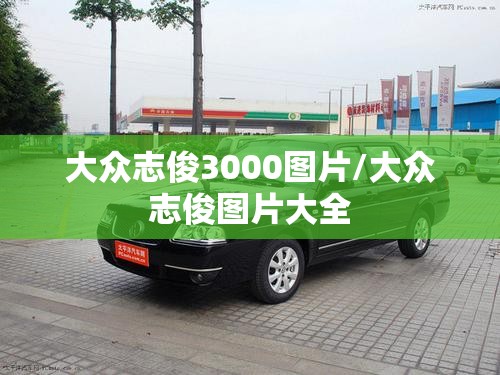 大众志俊3000图片/大众志俊图片大全