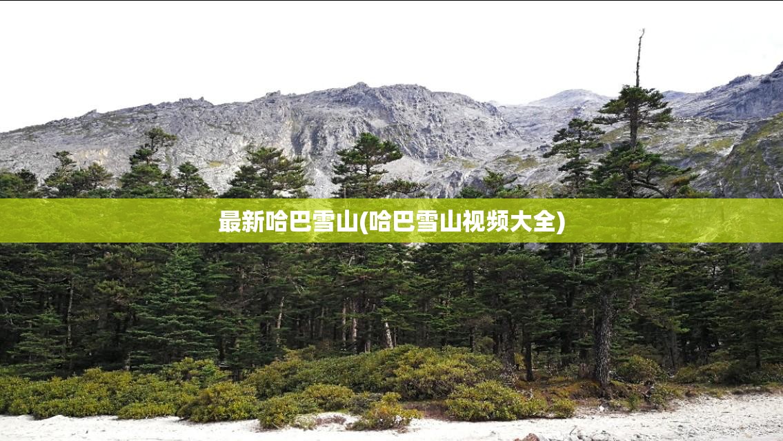 最新哈巴雪山(哈巴雪山视频大全)