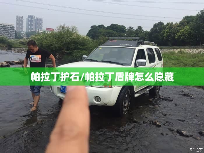 帕拉丁护石/帕拉丁盾牌怎么隐藏
