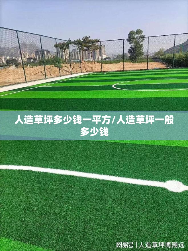 人造草坪多少钱一平方/人造草坪一般多少钱