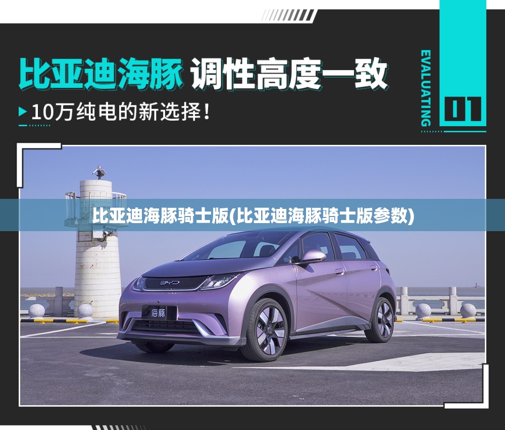 比亚迪海豚骑士版(比亚迪海豚骑士版参数)