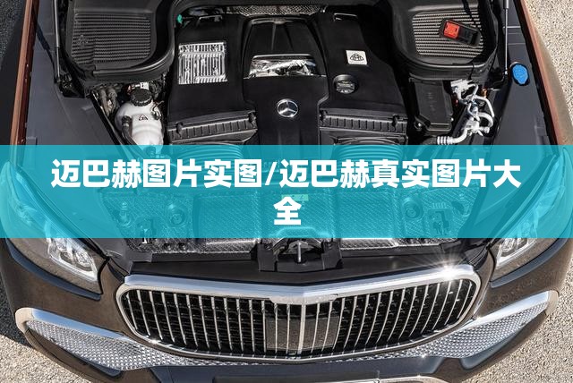 迈巴赫图片实图/迈巴赫真实图片大全