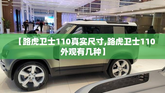 【路虎卫士110真实尺寸,路虎卫士110外观有几种】