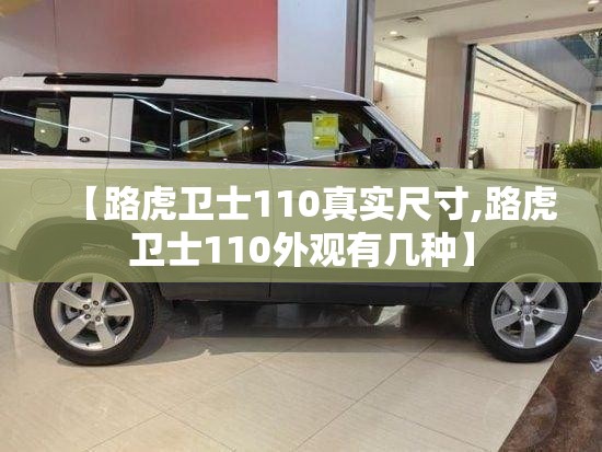 【路虎卫士110真实尺寸,路虎卫士110外观有几种】
