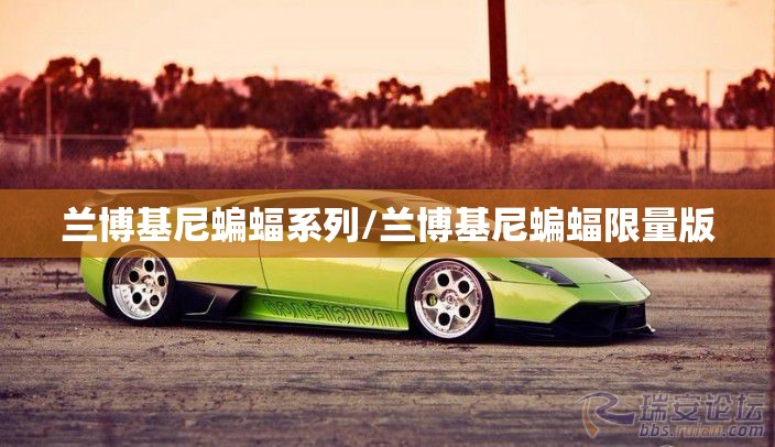 兰博基尼蝙蝠系列/兰博基尼蝙蝠限量版