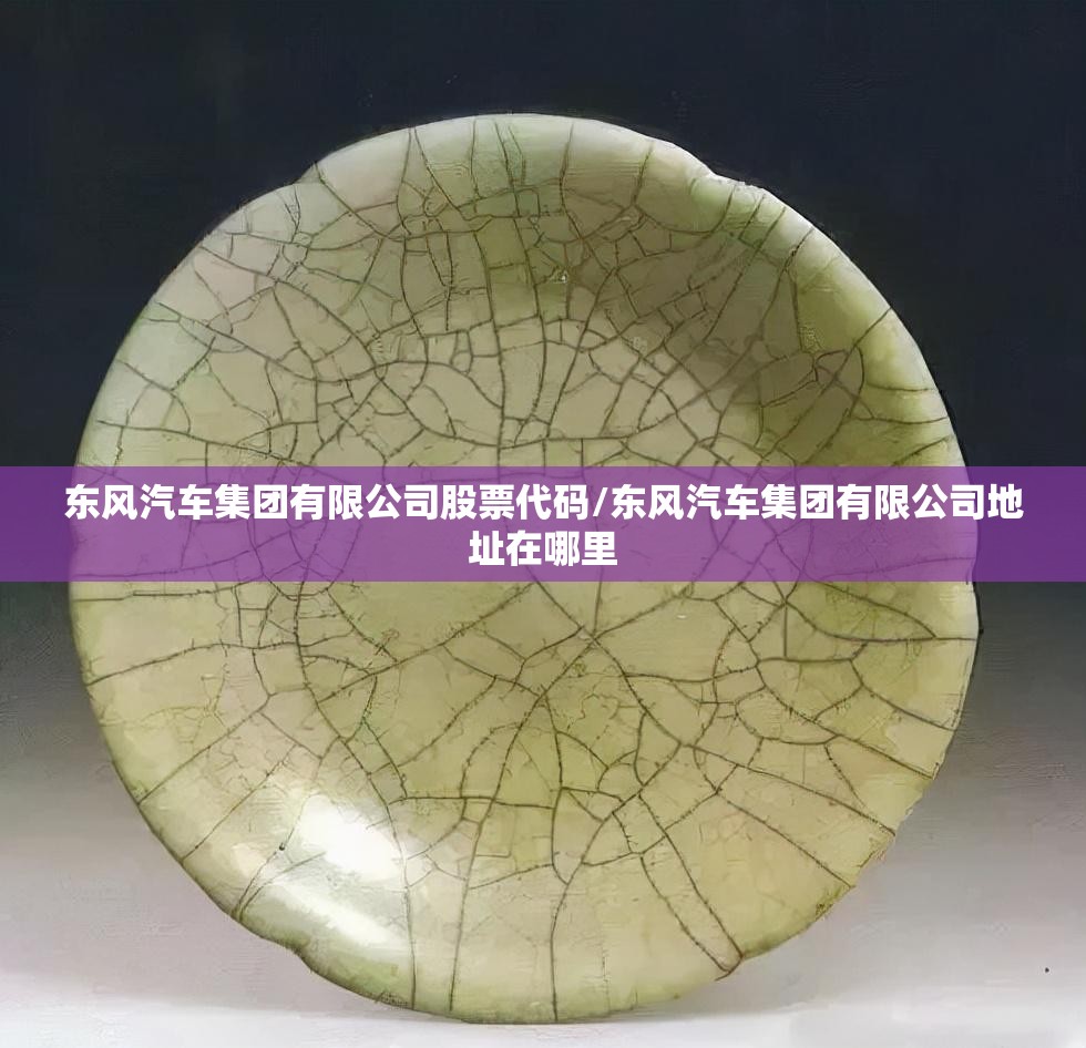 东风汽车集团有限公司股票代码/东风汽车集团有限公司地址在哪里