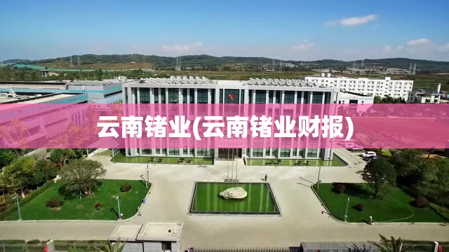 云南锗业(云南锗业财报) 云南锗业(云南锗业财报)