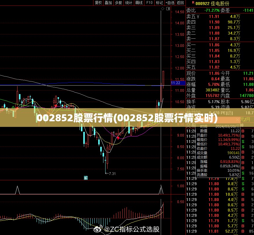 002852股票行情(002852股票行情实时)