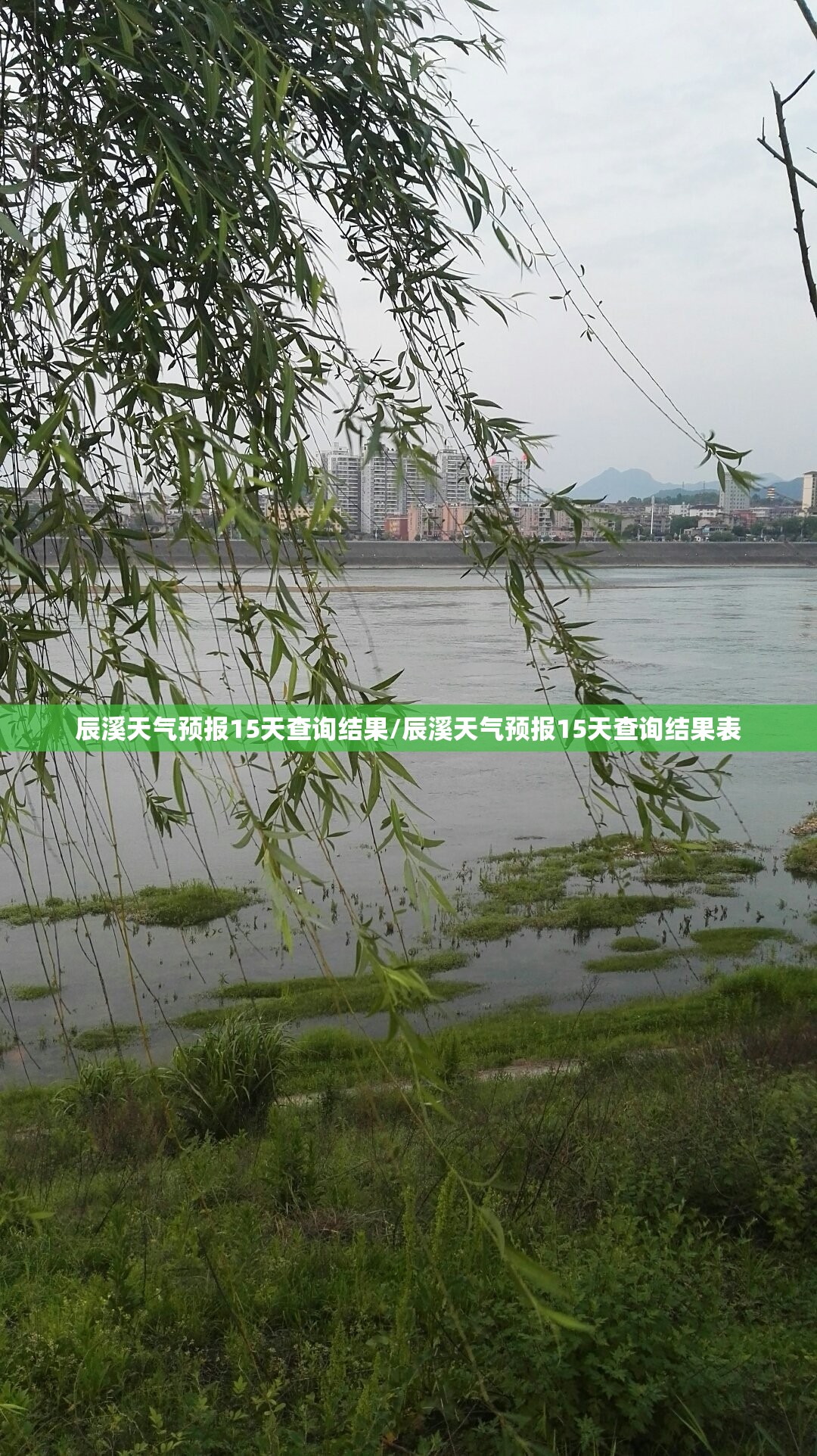 辰溪天气预报15天查询结果/辰溪天气预报15天查询结果表