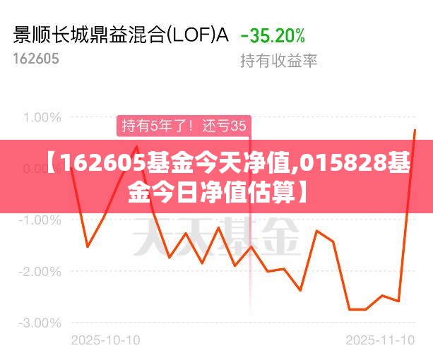 【162605基金今天净值,015828基金今日净值估算】