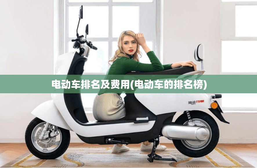 电动车排名及费用(电动车的排名榜)
