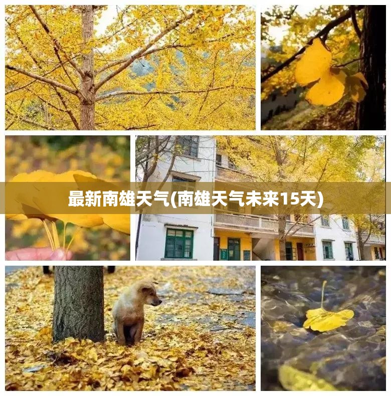 最新南雄天气(南雄天气未来15天)
