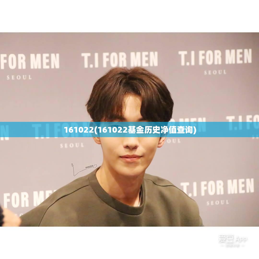 161022(161022基金历史净值查询)