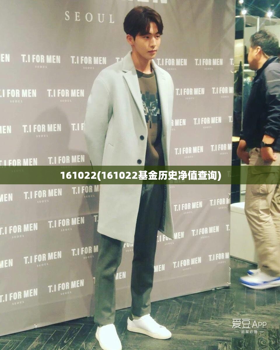 161022(161022基金历史净值查询)