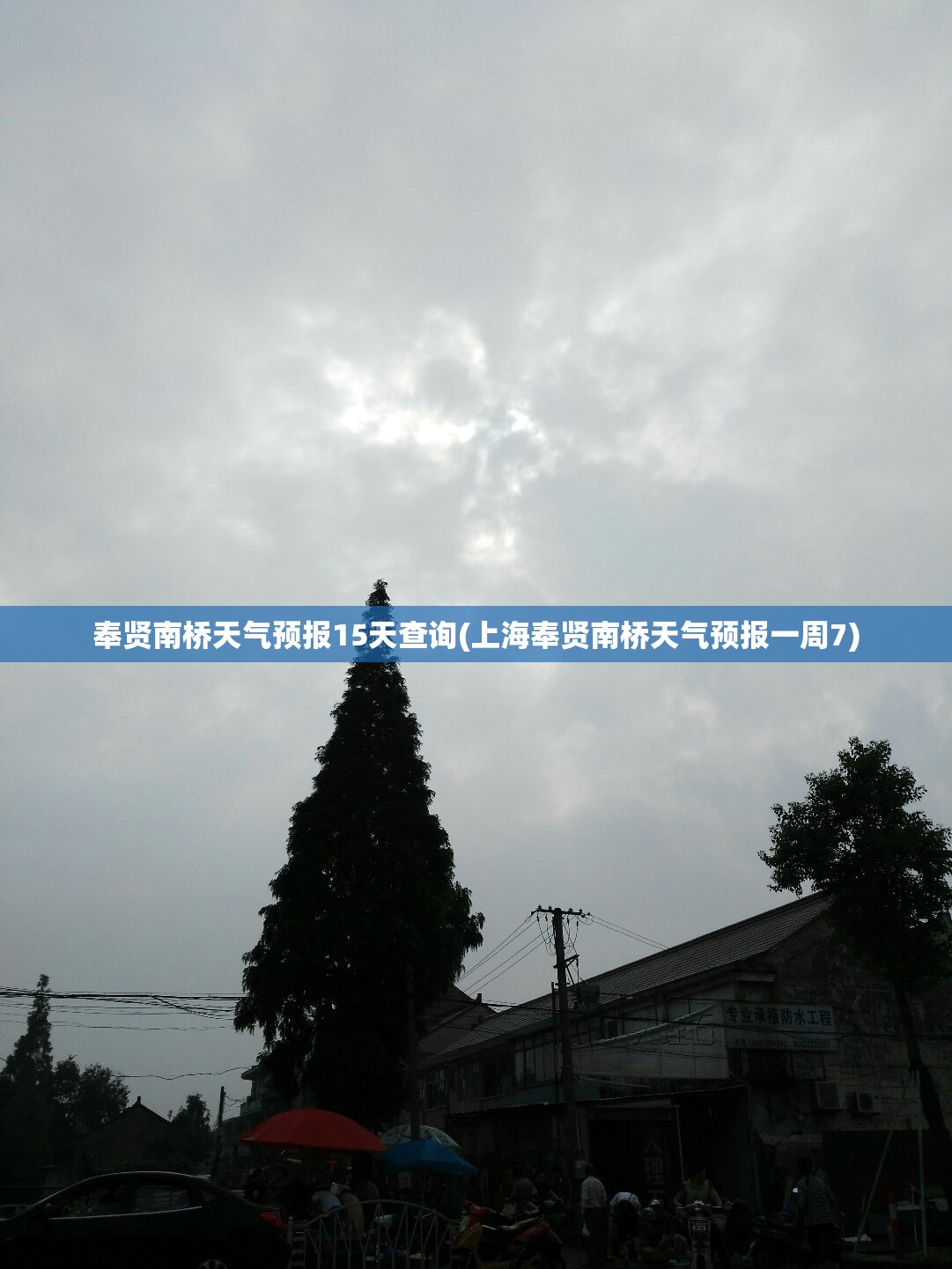 奉贤南桥天气预报15天查询(上海奉贤南桥天气预报一周7)