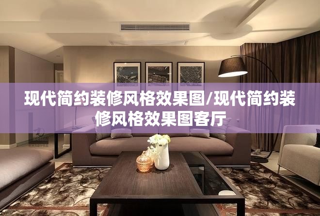 现代简约装修风格效果图/现代简约装修风格效果图客厅