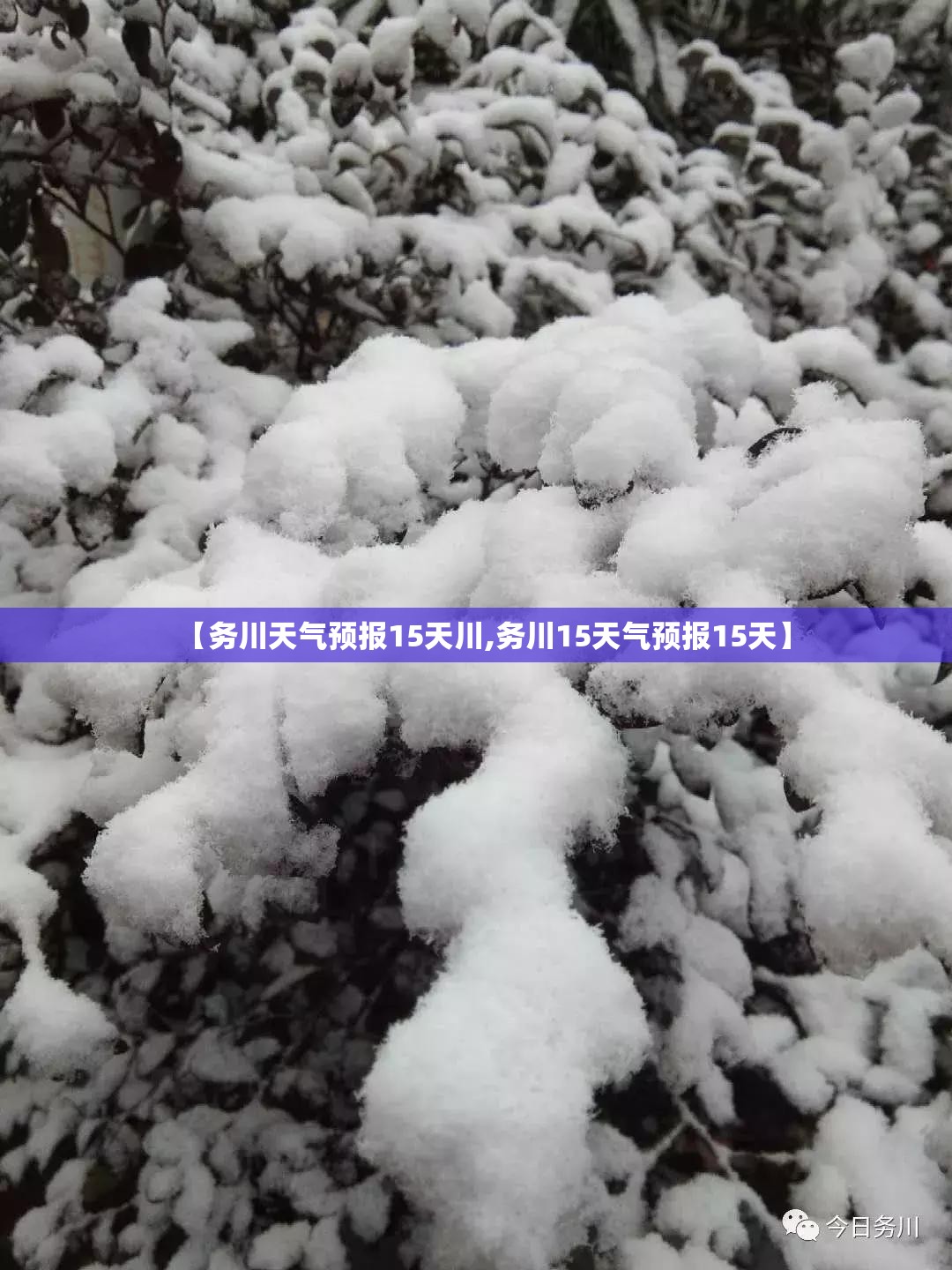 【务川天气预报15天川,务川15天气预报15天】