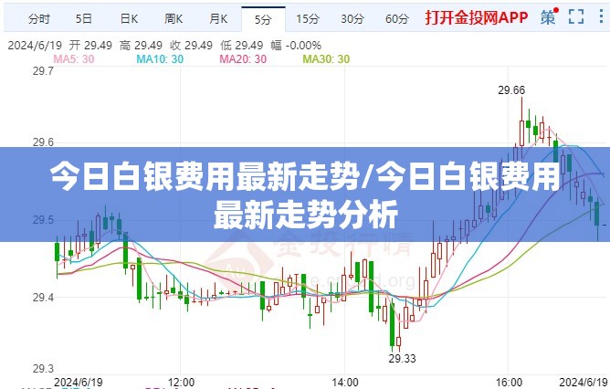 今日白银费用最新走势/今日白银费用最新走势分析