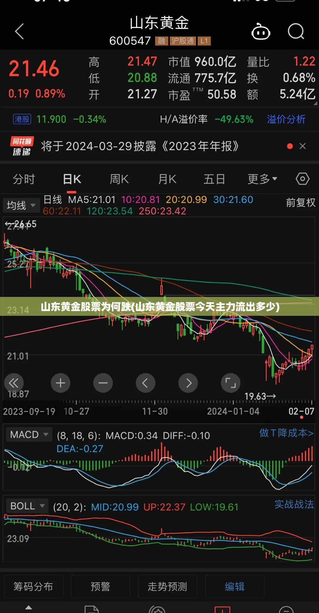 山东黄金股票为何跌(山东黄金股票今天主力流出多少)