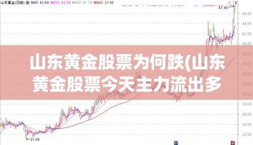山东黄金股票为何跌(山东黄金股票今天主力流出多少)