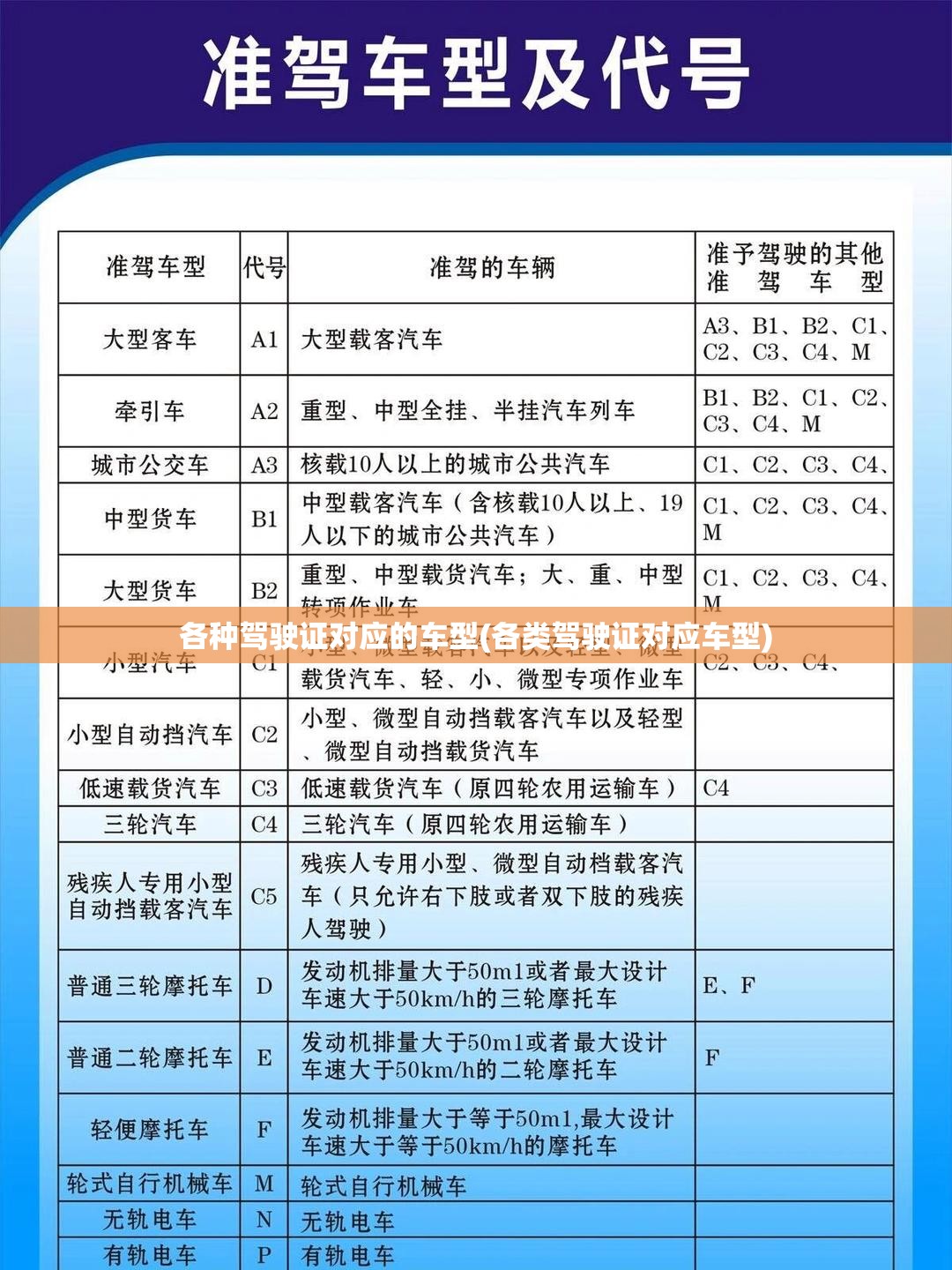 各种驾驶证对应的车型(各类驾驶证对应车型)