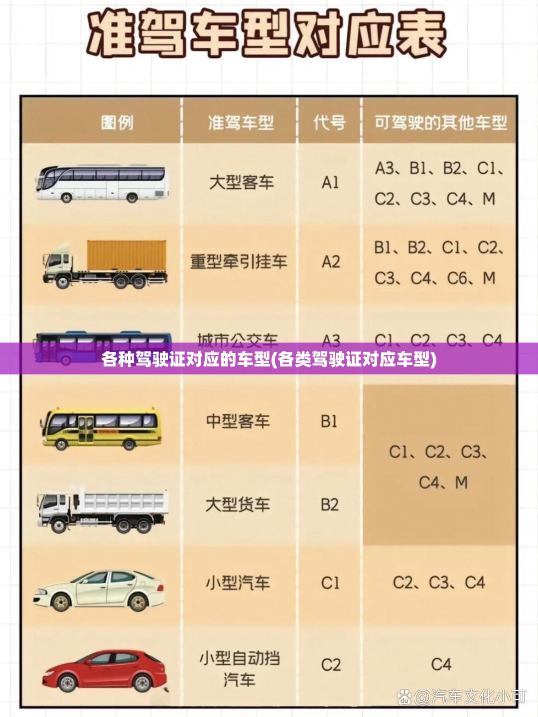 各种驾驶证对应的车型(各类驾驶证对应车型)