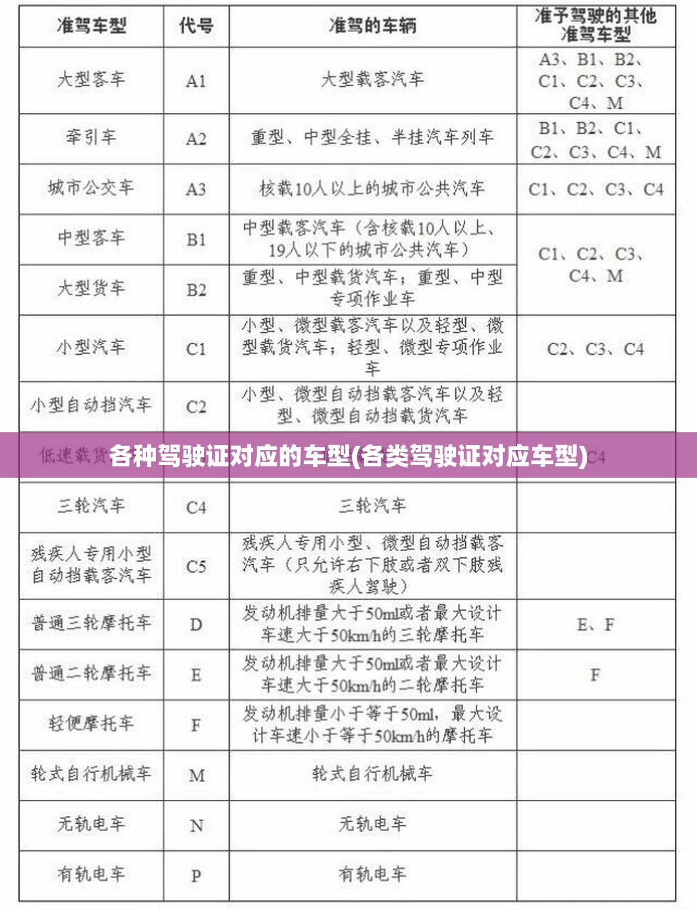 各种驾驶证对应的车型(各类驾驶证对应车型)