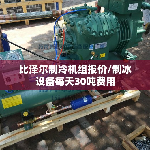 比泽尔制冷机组报价/制冰设备每天30吨费用 比泽尔制冷机组报价/制冰设备每天30吨费用