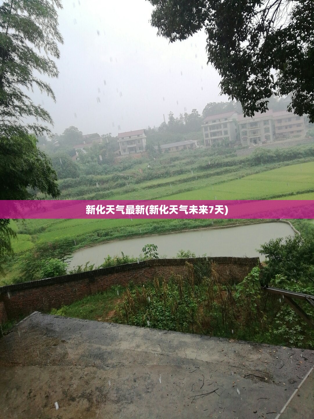 新化天气最新(新化天气未来7天)