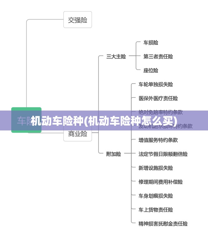 机动车险种(机动车险种怎么买) 机动车险种(机动车险种怎么买)