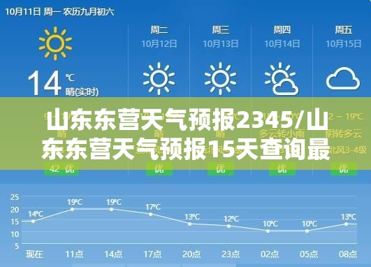 山东东营天气预报2345/山东东营天气预报15天查询最新消息视频