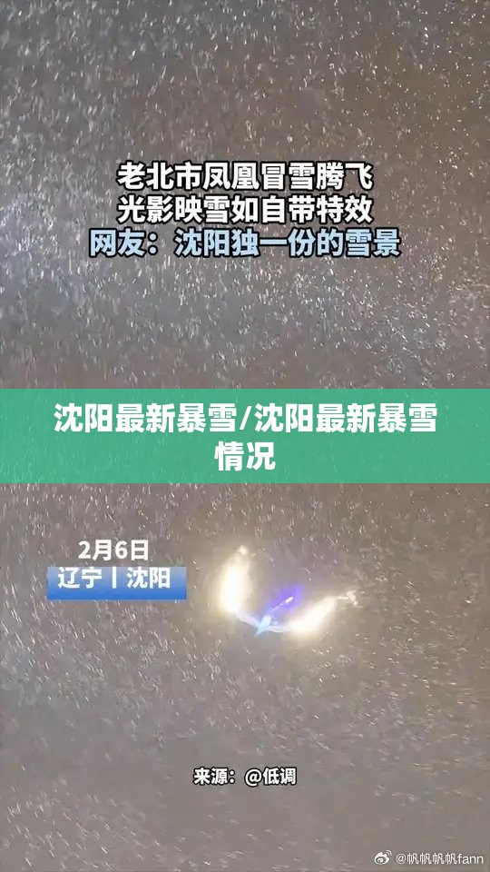 沈阳最新暴雪/沈阳最新暴雪情况