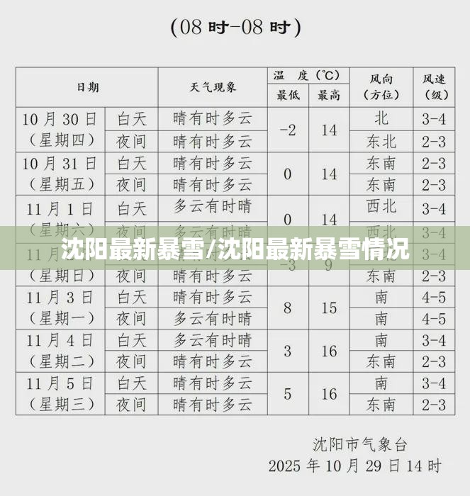 沈阳最新暴雪/沈阳最新暴雪情况