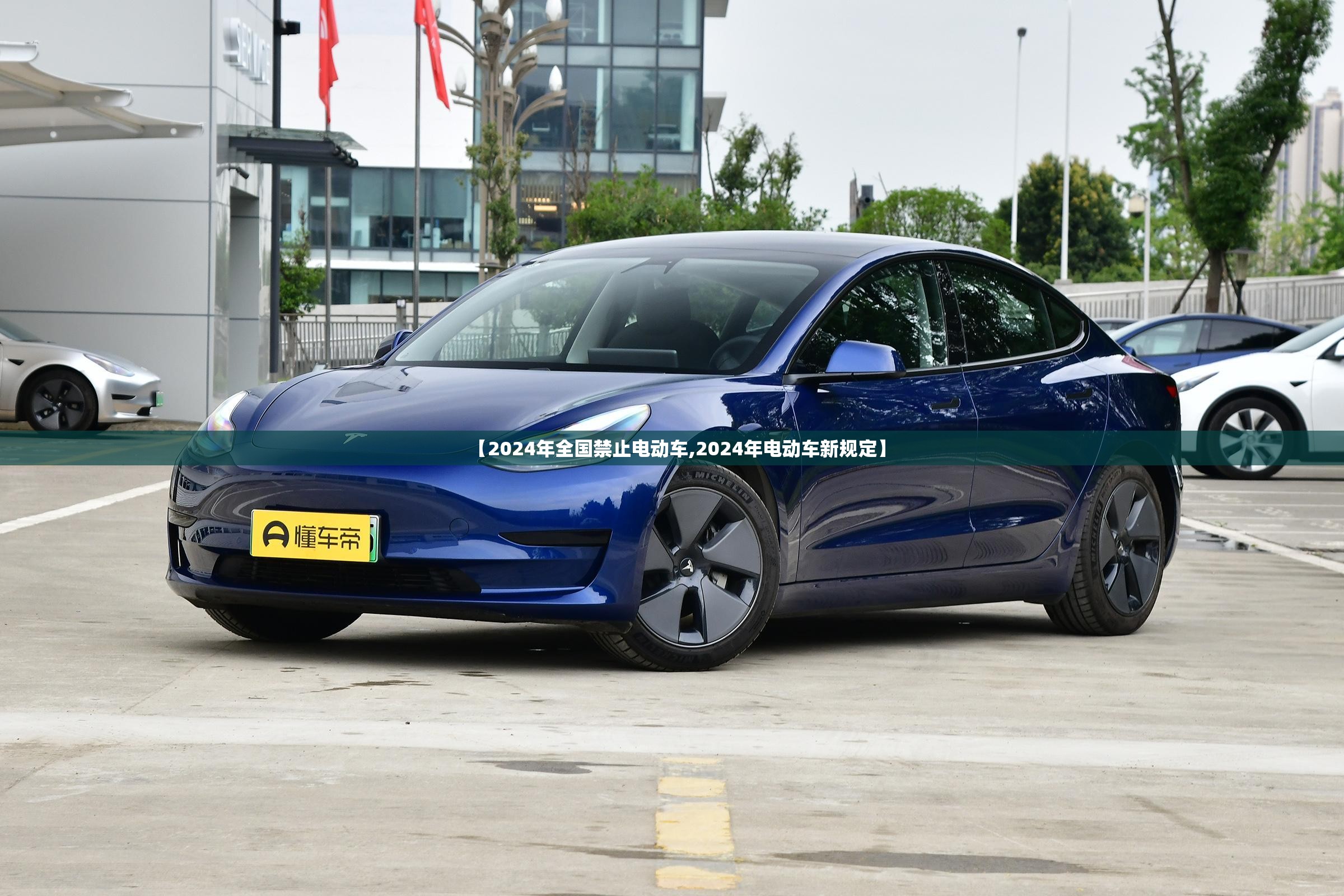 【2024年全国禁止电动车,2024年电动车新规定】