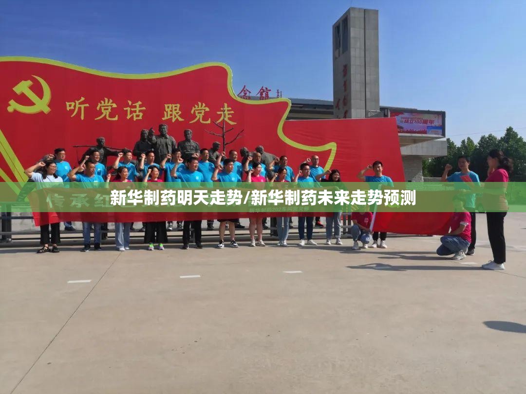 新华制药明天走势/新华制药未来走势预测