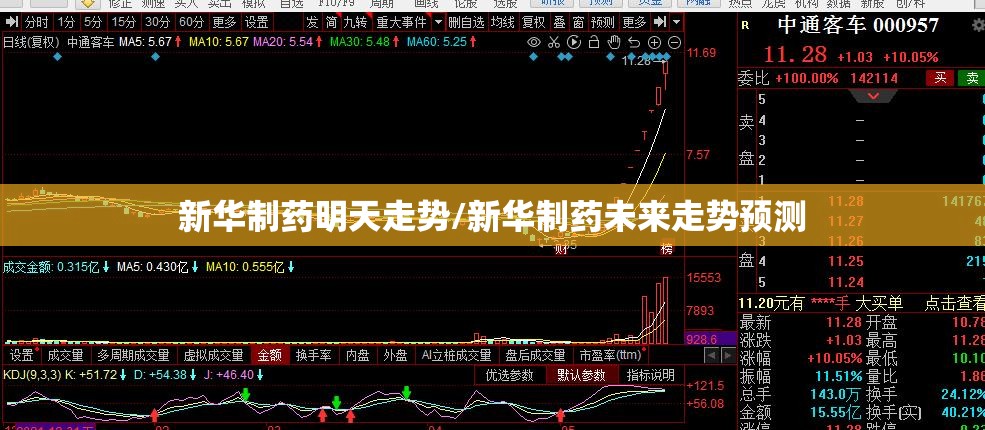 新华制药明天走势/新华制药未来走势预测