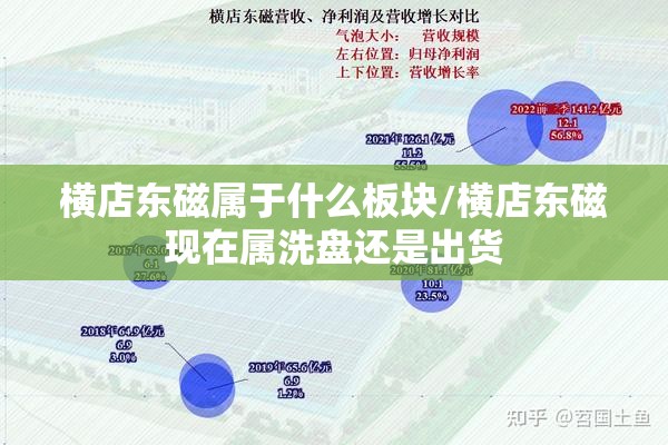 横店东磁属于什么板块/横店东磁现在属洗盘还是出货